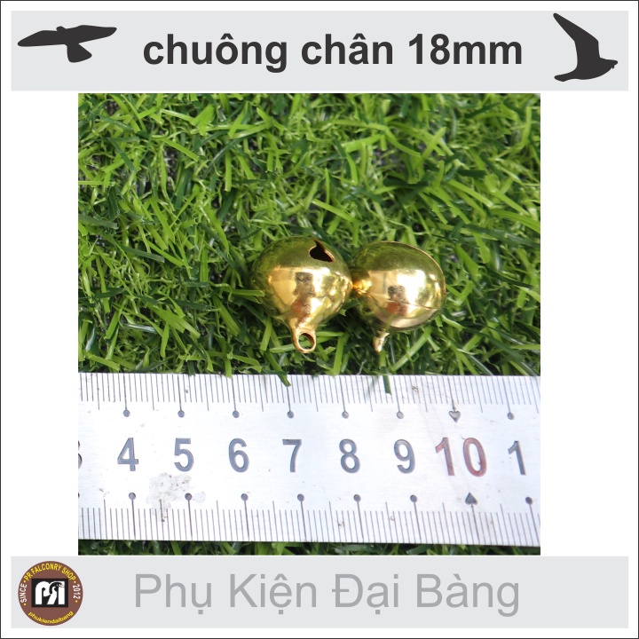 Chuông đeo chân chim ưng, chân chim đại bàng