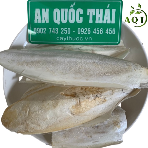 Mai Mực Khô (Nan Mực, Ô Tặc Cốt) Nguyên Miếng, Trừ Viêm Loét Dạ Dày, Tá Tràng, Làm Thức Ăn Cho Chim, Vẹt, Két