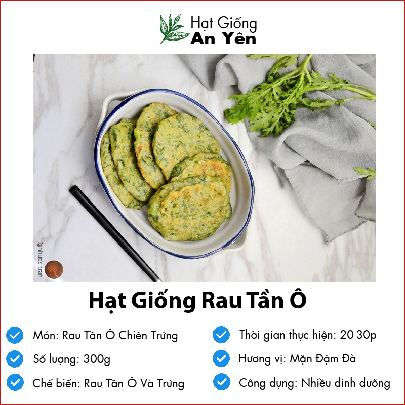 Hạt giống Rau Tần Ô rau Cải Cúc thu hoạch sớm, dễ trồng, nảy mầm cao, sinh trưởng khoẻ