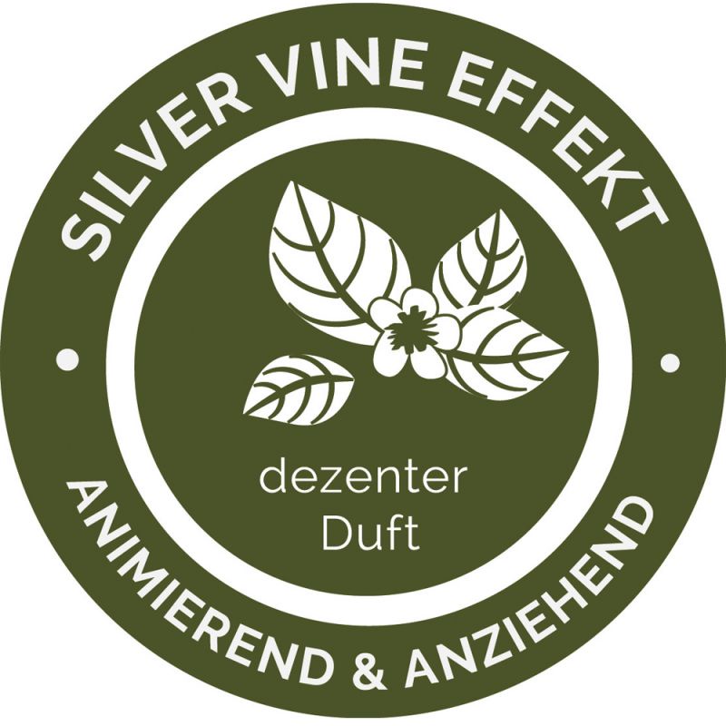 Đồ chơi cỏ mèo catnip kẹo mút nha khoa cho mèo