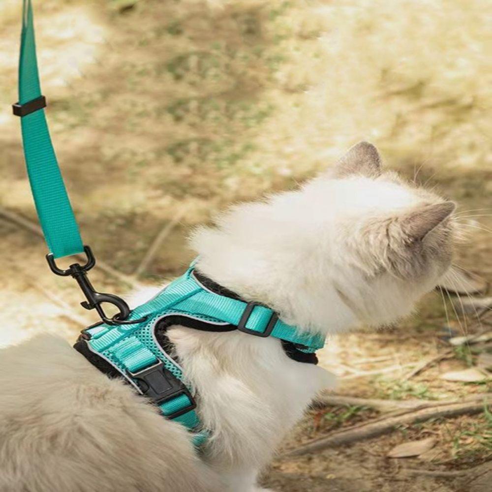 Đai Dắt Thú Cưng Đi Dạo Chất Liệu Mềm Mại Tùy Chỉnh Tiện Dụng