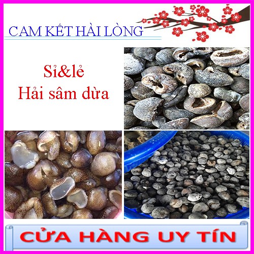 Hải sâm dừa 100gr. Đồn đột dừa. Hải sâm nhãn. Lựu dừa