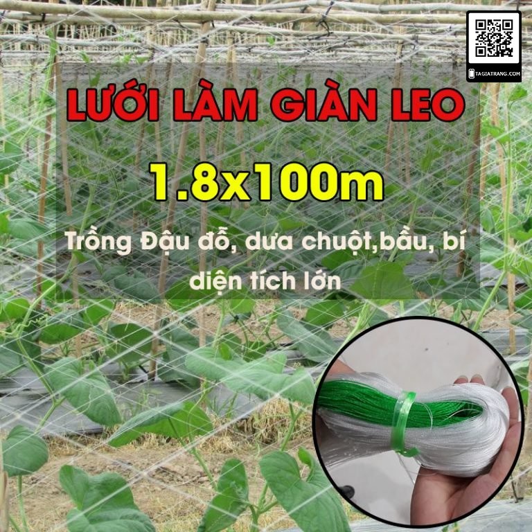 Lưới làm giàn leo 1.8x100m trồng dưa chuột, mướp, đậu, bầu bí, mướp quy mô lớn