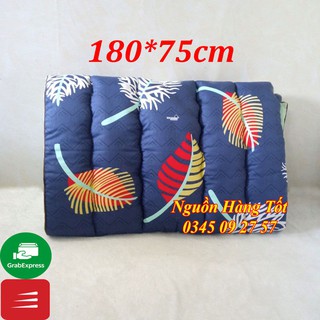 Đệm Gấp Văn Phòng Size 180/75cm - Cotton Chính Hãng THẮNG LỢI