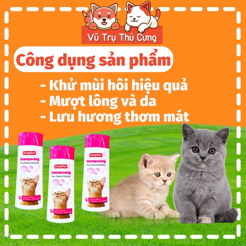 Sữa tắm cho Mèo mượt lông, thơm lâu Beaphar Hà Lan 250ml