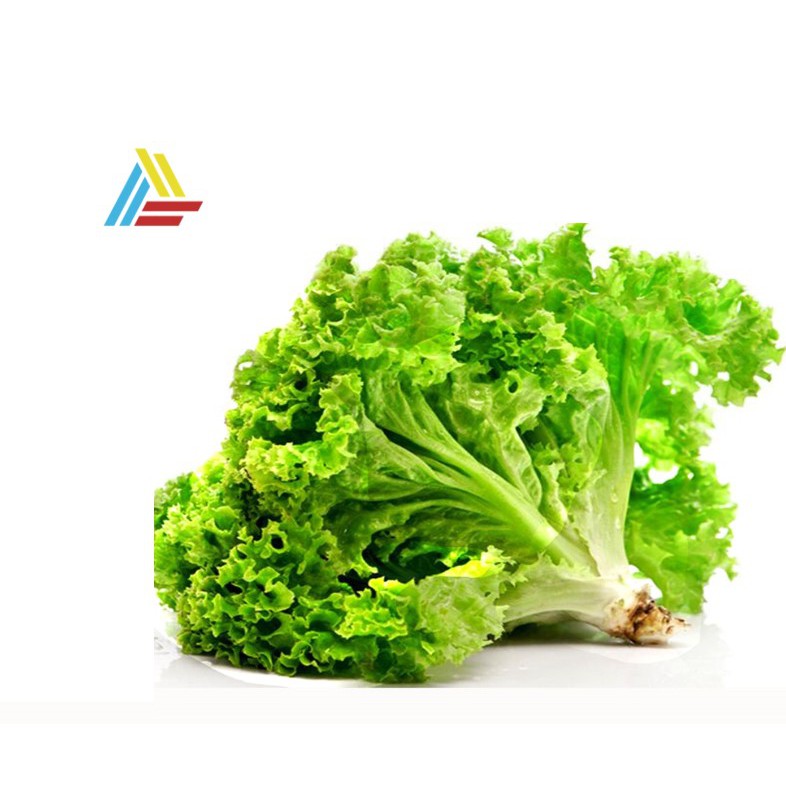 Rau ăn lá, hạt giống rau xà lách xoăn ( gói 2 gram) | Shopee Việt Nam