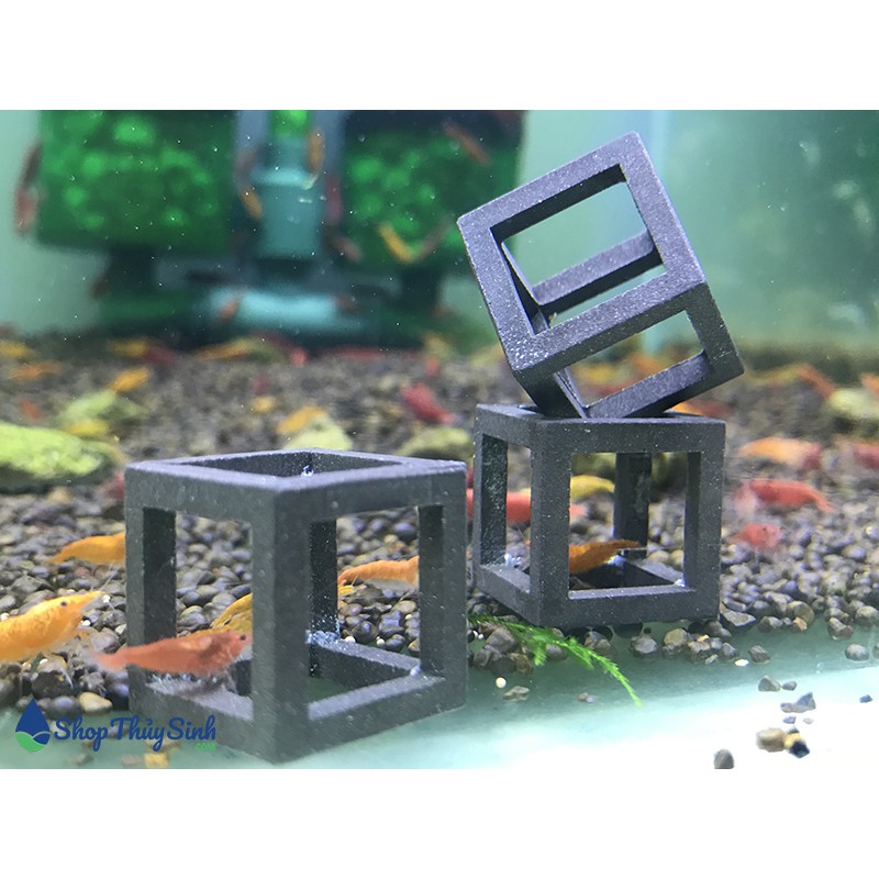 Đồ chơi cho tép cảnh dạng hình vuông cubic từ chất liệu gốm cao cấp