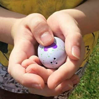 Trứng hatchimal các mùa ss1, ss3, ss9, ss10