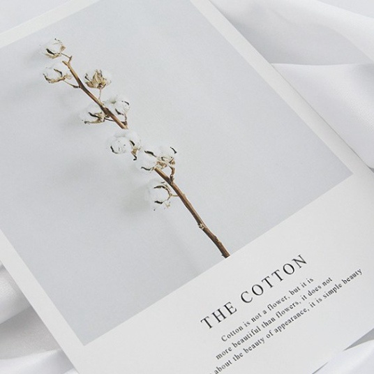 Ảnh bìa sách đẹp phụ kiện trang trí chụp ảnh sản phẩm xin xắn. postcard decor