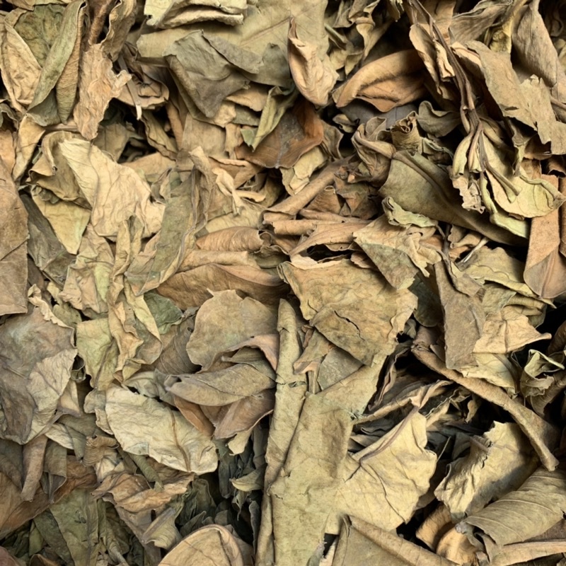 Lá Bưởi vườn sấy khô không thuốc