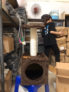 Cây Cat tree cho mèo