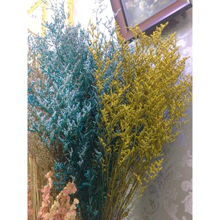 Trang trí phòng ngủ ❤️10gr Hoa sao khô❤️ trang trí tiệc cưới vintage, Quà tặng