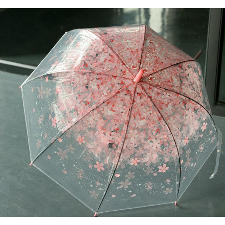 Ô 3D trong suốt