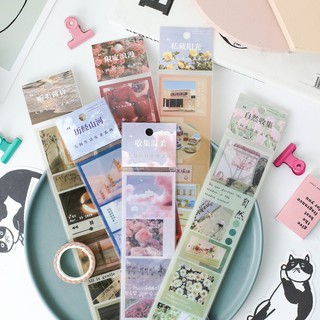 Sticker dán sổ bullet journal moahmm dải phong cách thiên nhiên DIY