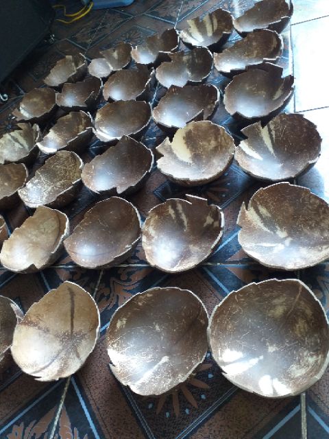 Dĩa gáo dừa, cắt hình trái tim, chiếc lá, hoa. Như hình mẫu. Làm từ 100%gáo dừa thiên nhiên,.......................