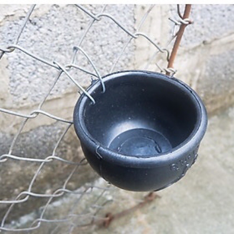 MÁNG CAO SU CHO BỒ CÂU , GÀ