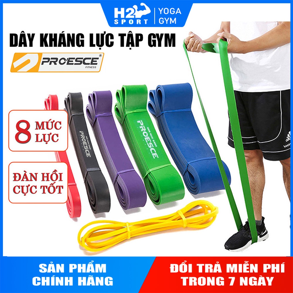 DÂY KHÁNG LỰC POWER-BAND HỖ TRỢ TẬP GYM TOÀN THÂN - CHÍNH HÃNG PROESCE