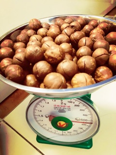 Maca Bố Nam - Hạt Macadamia Daklak - Mắc Ca