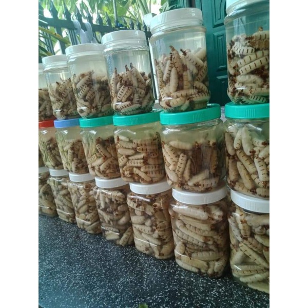 15k/c môi chúa tự đào
