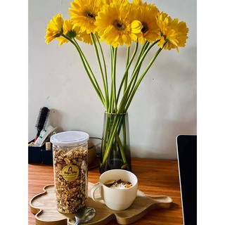 Granola - Ngũ cốc ăn kiêng - Homemade by Arlyn's House
