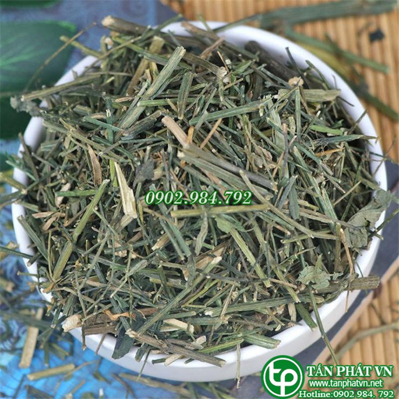 Xuyên tâm liên - Tấn Phát