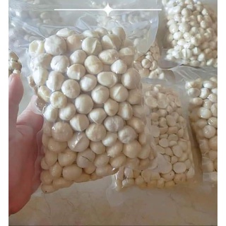 Hạt Macca Đak lak