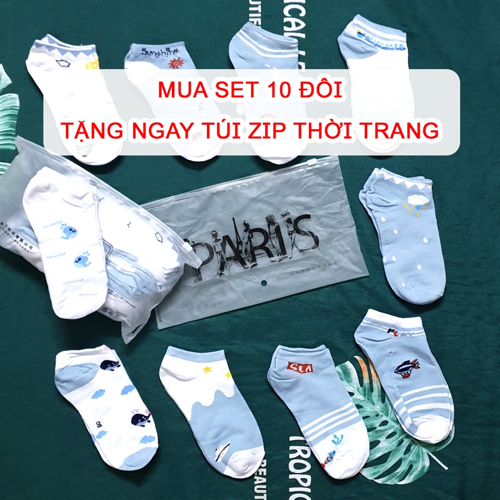[Set 10 đôi tặng túi khóa kéo] Tất nữ cổ ngắn cotton trắng xanh phong cách Hàn Quốc - Tất cute Havana FPT09