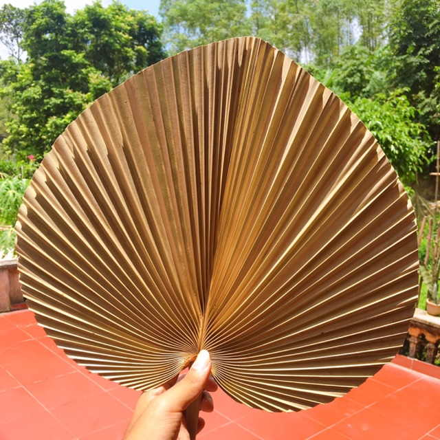 Quạt cọ truyền thống