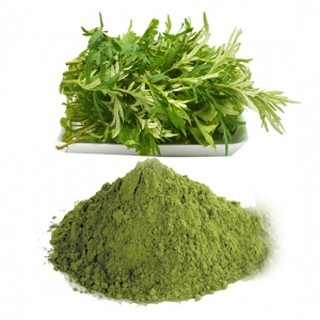 BỘT LÁ NGẢI CỨU 50G