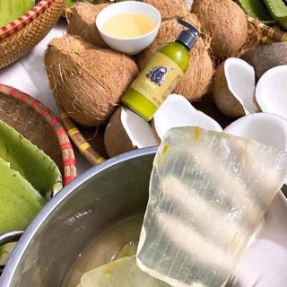 Cặp dầu gội/ xã dược liệu