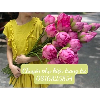 CÀNH SEN GIẢ CAO CẤP - HOA SEN BÁCH DIỆP QUAN ÂM