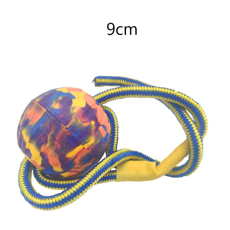 Bộ 4 Đồ Chơi Đuổi Bắt Chó Bằng EVA Thú Vị