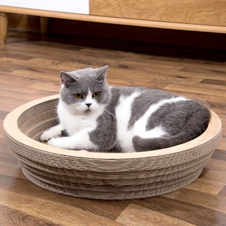Đồ Chơi Cào Móng Cho Mèo