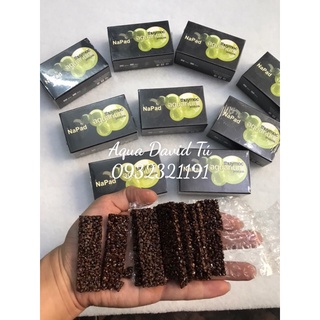 Giá Thể Napad Thuỷ Mộc Trồng Cây Thủy Sinh (Hộp 10 miếng)