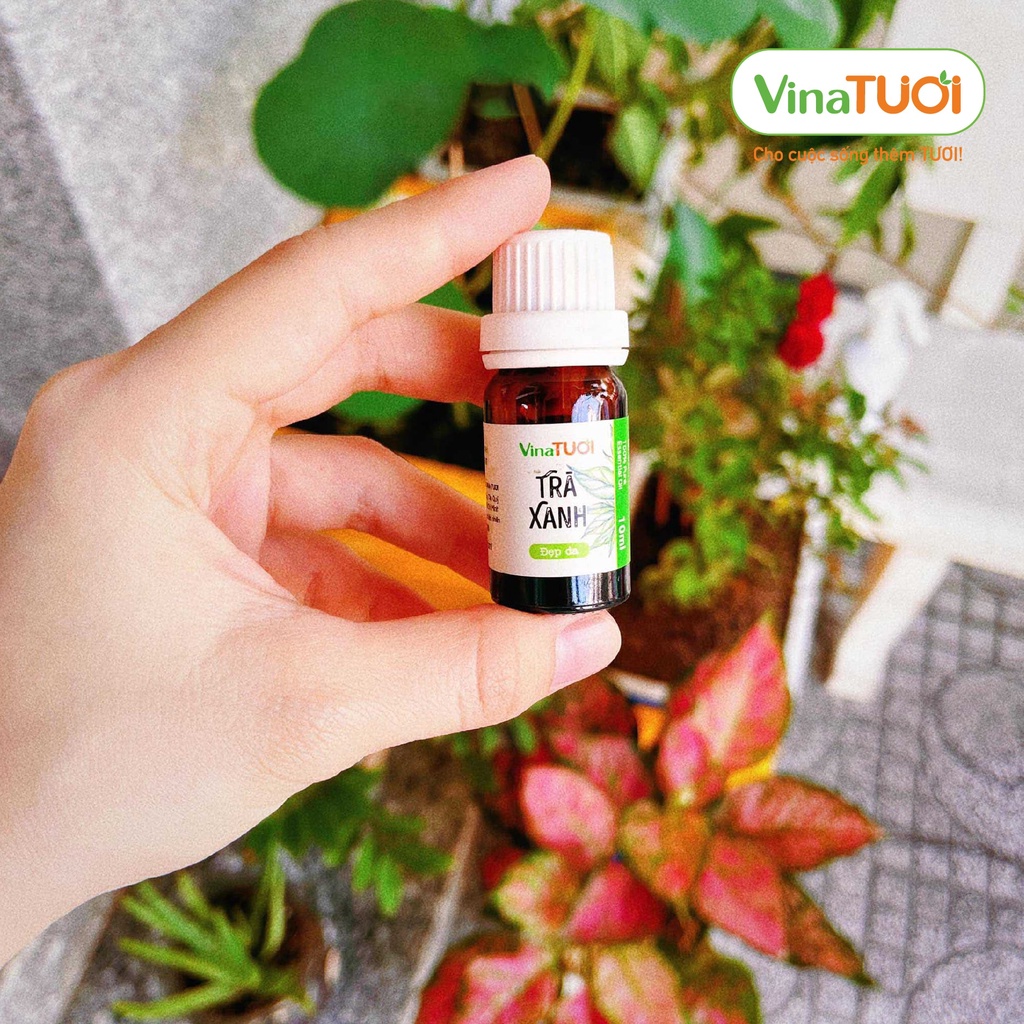 Tinh dầu nguyên chất từ Lá cây VINA TƯƠI 10ml tinh dầu xua đuổi côn trùng, xông hơi xông phòng giải cảm