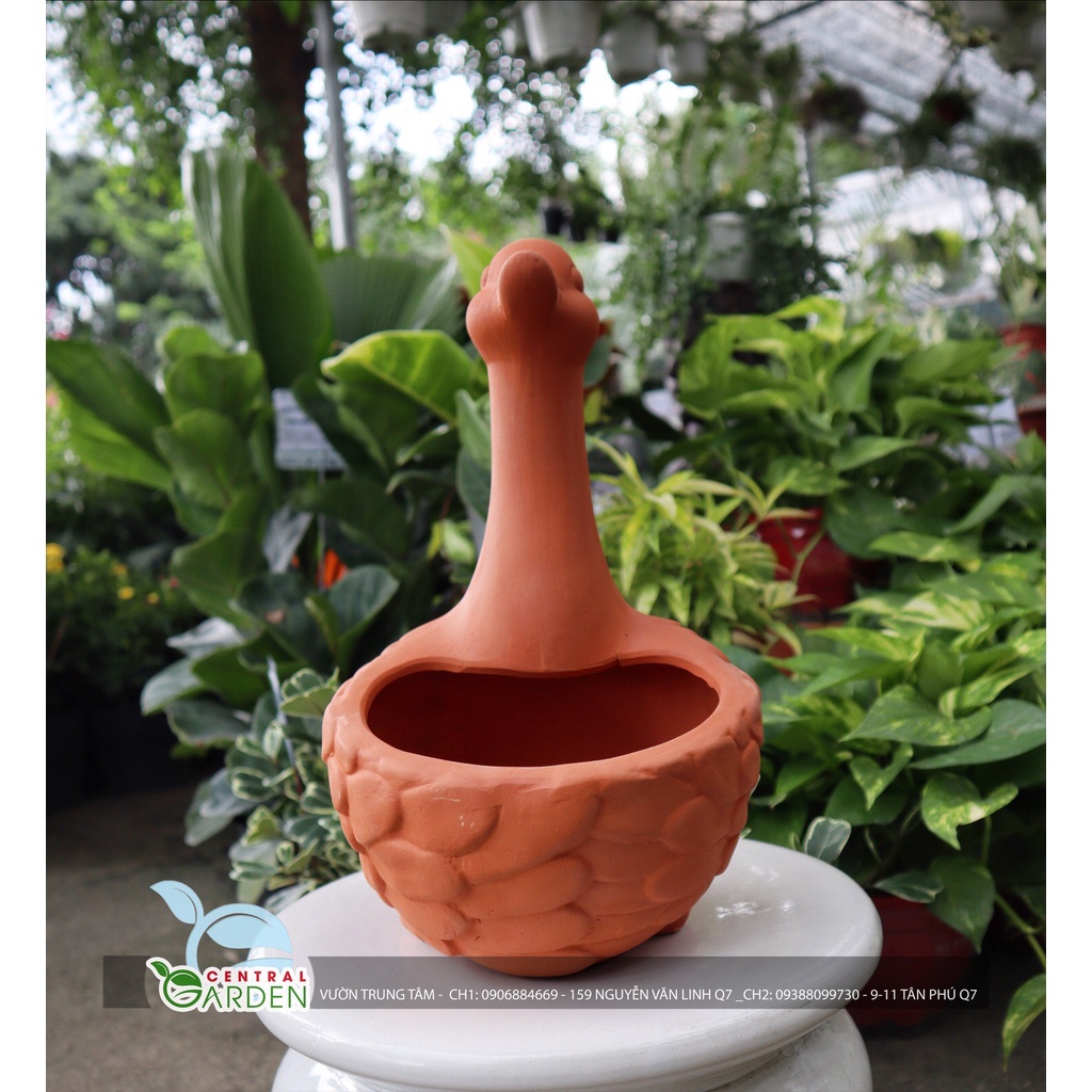 CHẬU ĐẤT NUNG HÌNH THÚ - CHẬU THIÊN NGA