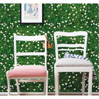 Decal trang trí dán tường, dán sàn - Cỏ hoa cúc dại