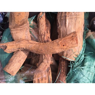 4 Kg Rễ gỗ nghiến ghép lan dài 25 đến 30 cm