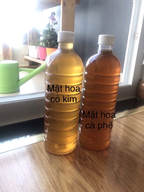 300ml mật ong nguyên chất daklak