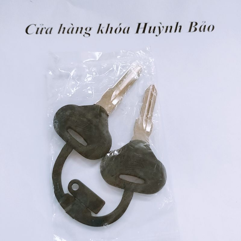 Phôi chìa Sh Ý Dylan PS