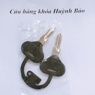 Phôi chìa Sh Ý Dylan PS