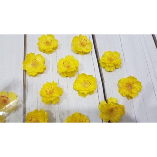 Hoa Đào Mai Giả 1kg