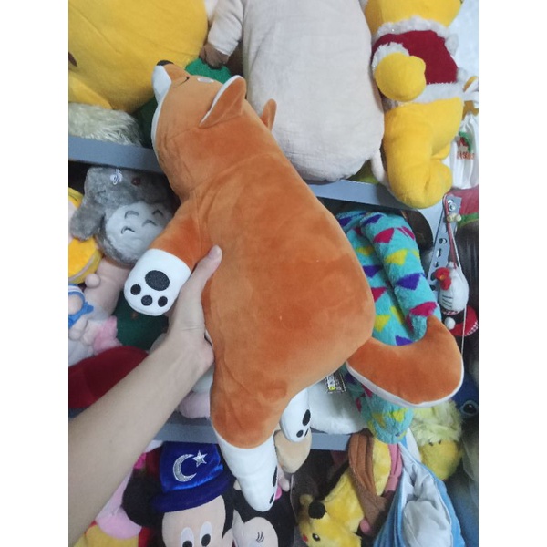 Gấu bông cún siba size 50-55cm