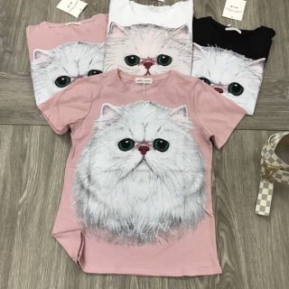 Áo mèo dễ thương