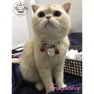 Vòng cổ chó mèo, thú cưng họa tiết dân tộc