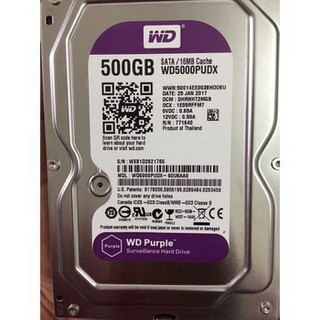 Ổ cứng cho camera 500gb purple bảo hành 36 tháng