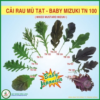 Hạt giống Cải mù tạt - baby mizuki TN 100 - 10g