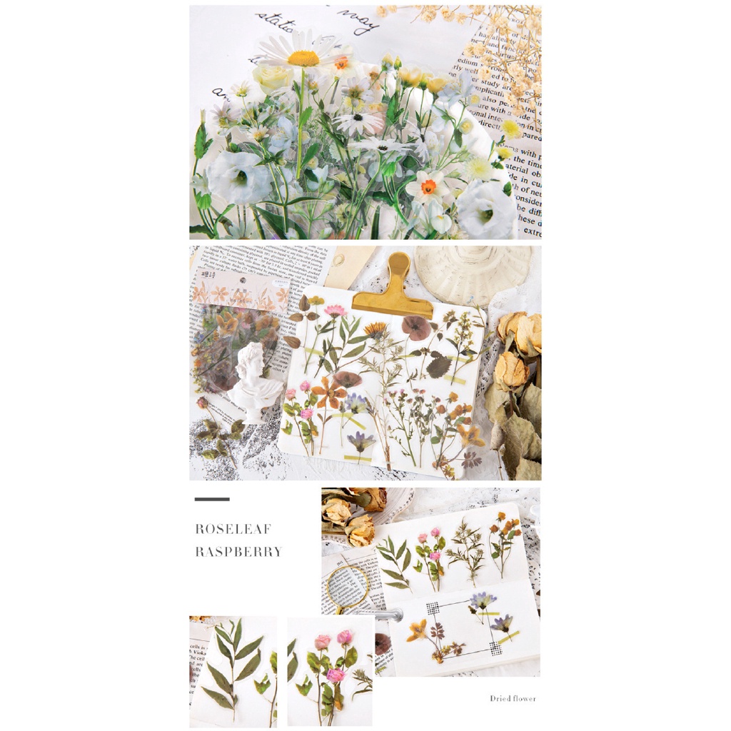Set 40 Miếng Dán Trang Trí Sổ Tay/Nhật Ký Hình Hoa Mùa Thu Kiểu Vintage