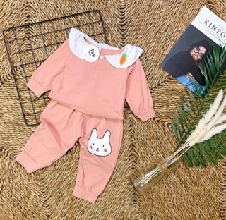 Bộ thu đông cotton