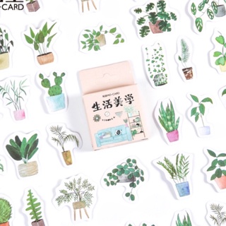 Hộp 46 miếng sticker mẫu chậu cây xanh và giá đỡ